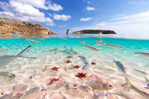 Apartamento Lampedusa Mareblu Sei