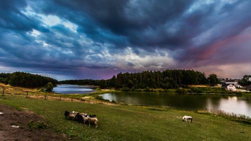 Gospodarstwo Agroturystyczne Cyrson