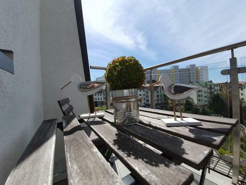Apartamento Perfektmari S?oneczny