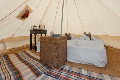 Lyth Valley Back To Basics Camping Experience In The Lake District