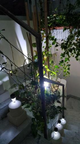 B&B Salento Il Viandante