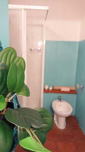 Apartamento La Casina Di Alice