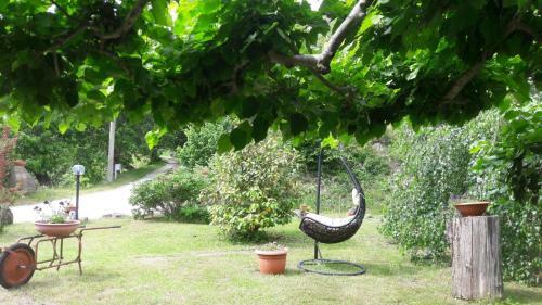 Agroturismo La Selva Di Nasio