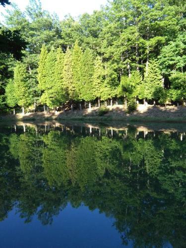 Agroturismo La Selva Di Nasio