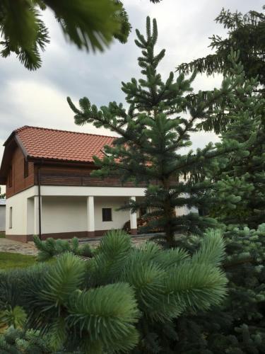 Pokoje Kasztanowa