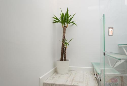 Apartamento Pedregalejo, Estropada 1