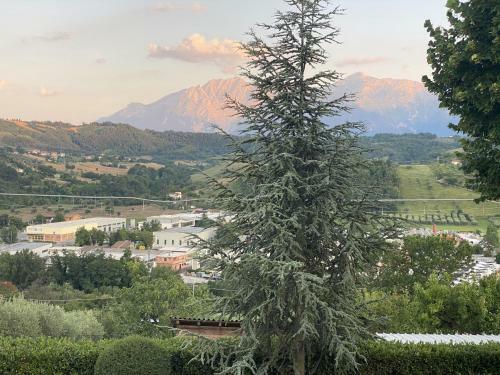 Bed & Breakfast Don Peppino