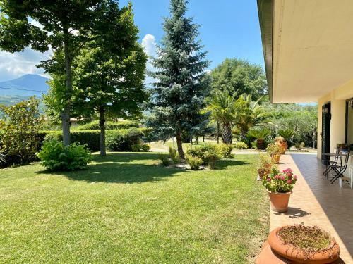 Bed & Breakfast Don Peppino