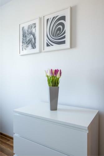 Apartamenty Plazowa