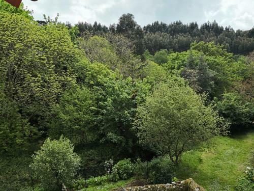Agroturismo Casafer