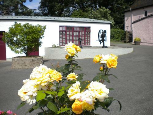 Hostal Riversdale Farm Guest House And Leisure Centre