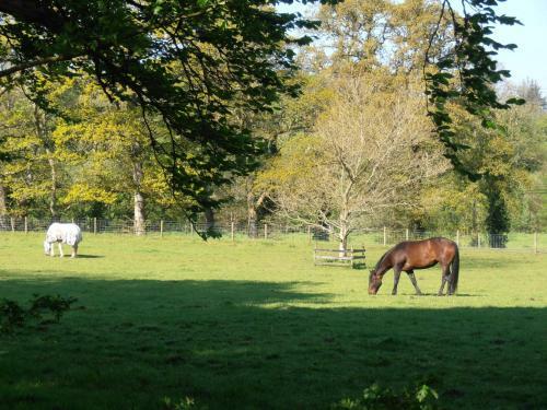 Hostal Riversdale Farm Guest House And Leisure Centre