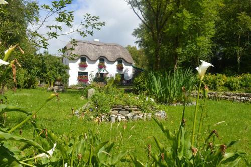 Bed & Breakfast Lissyclearig Thatched Cottage