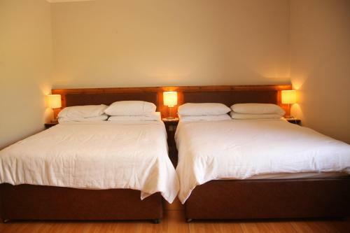 Torine House B&B