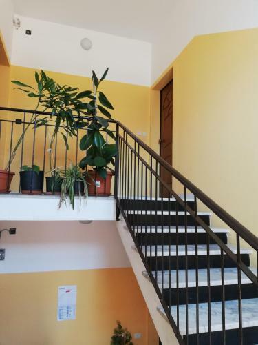 Apartamento Casa Giulia Al Centro Di Olbia
