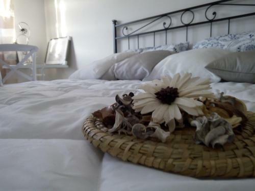 B&B Lilium Otranto