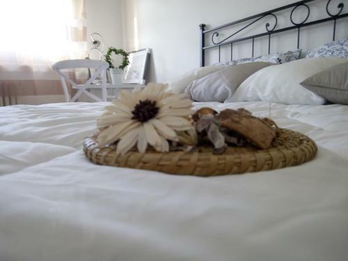 B&B Lilium Otranto