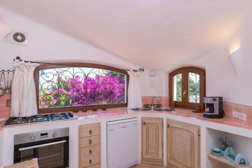 Villa Scorpion House