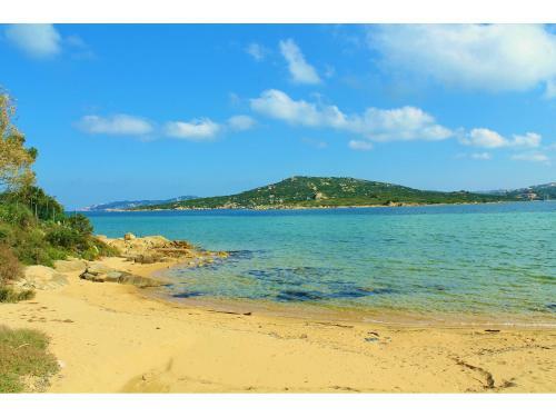 Apartamento Quadrilocale A 300 Metri Dal Mare
