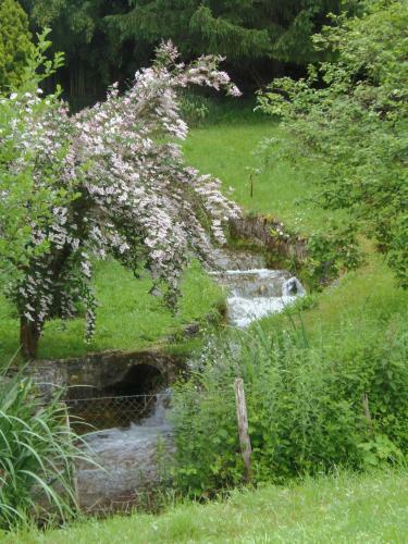 Bed & Breakfast La Chabotine