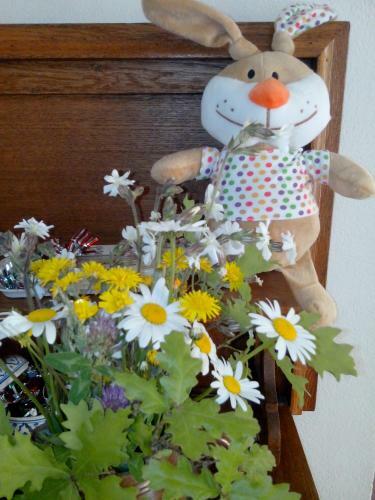 Bed & Breakfast La Chabotine