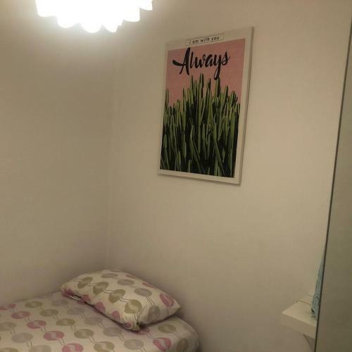 Apartamento Calle Mayor 49