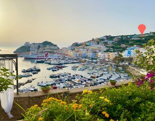Domus ? Ponza Seaview