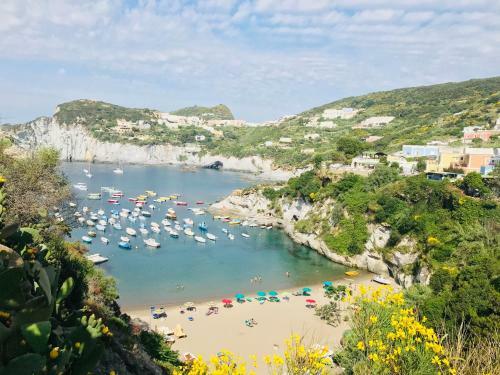 Apartamento Ponza Cala Feola Immobilevante