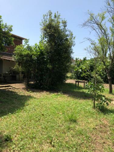 Casa Immersa Nel Verde