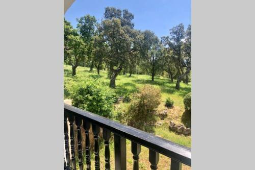 Apartamento Charmant Appart Vue Mer / R�sidence Avec Piscine