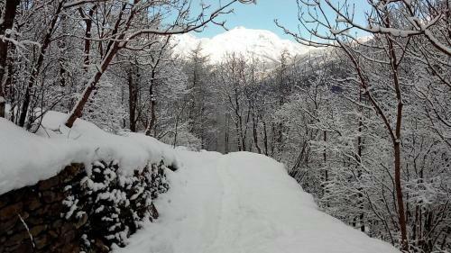 Hostal Centro San Michele - Casa Per Ferie