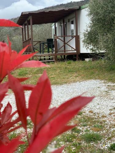Camping San Giusto