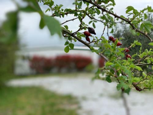 Camping San Giusto