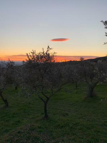 Camping San Giusto