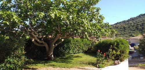 Apartamento Casa Orvile