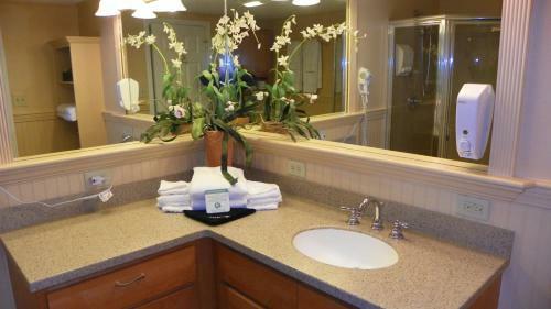 Apartamento Pb Oct 10th-17th, 2moh, Lincoln