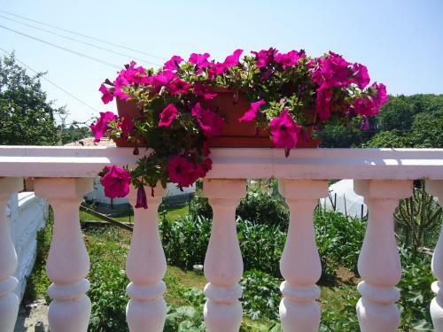 Hostal Monta�es