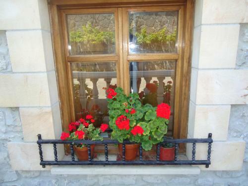 Hostal Monta�es