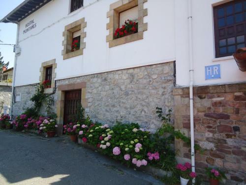 Hostal Monta�es