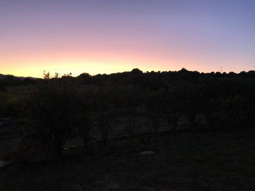 Sole Comino