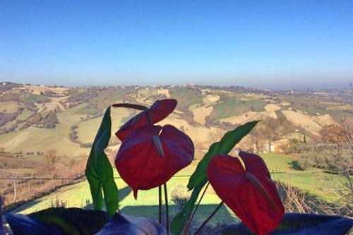Agroturismo Villa Giuditta