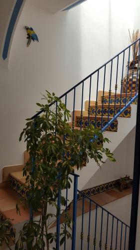 Bed & Breakfast Hellas