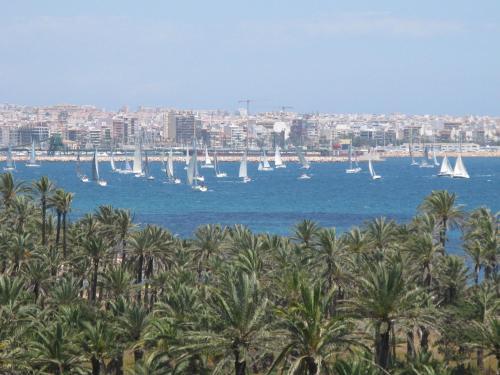 Apartamento Punta Prima Torrevieja Fantazy01