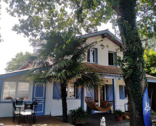 Albergue Shifting Sands Surf Camp