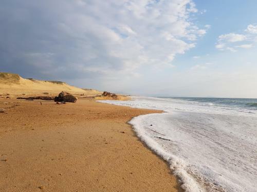 Albergue Shifting Sands Surf Camp