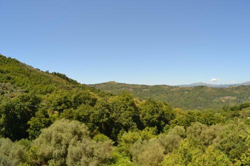 Hostal Casa Vacanze Santa Lucia