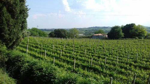 Apartamento Casa Vallecchia