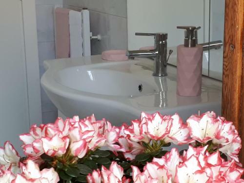 Bed & Breakfast Casa Rosetta