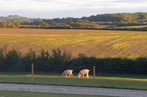 Secluded Cotswold Cottages