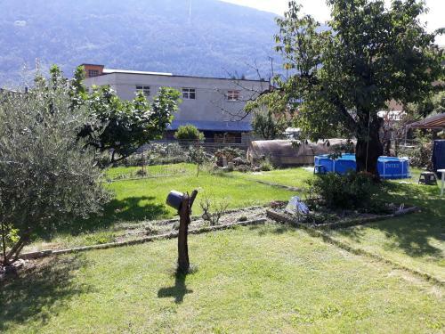 Tirano In Relax
